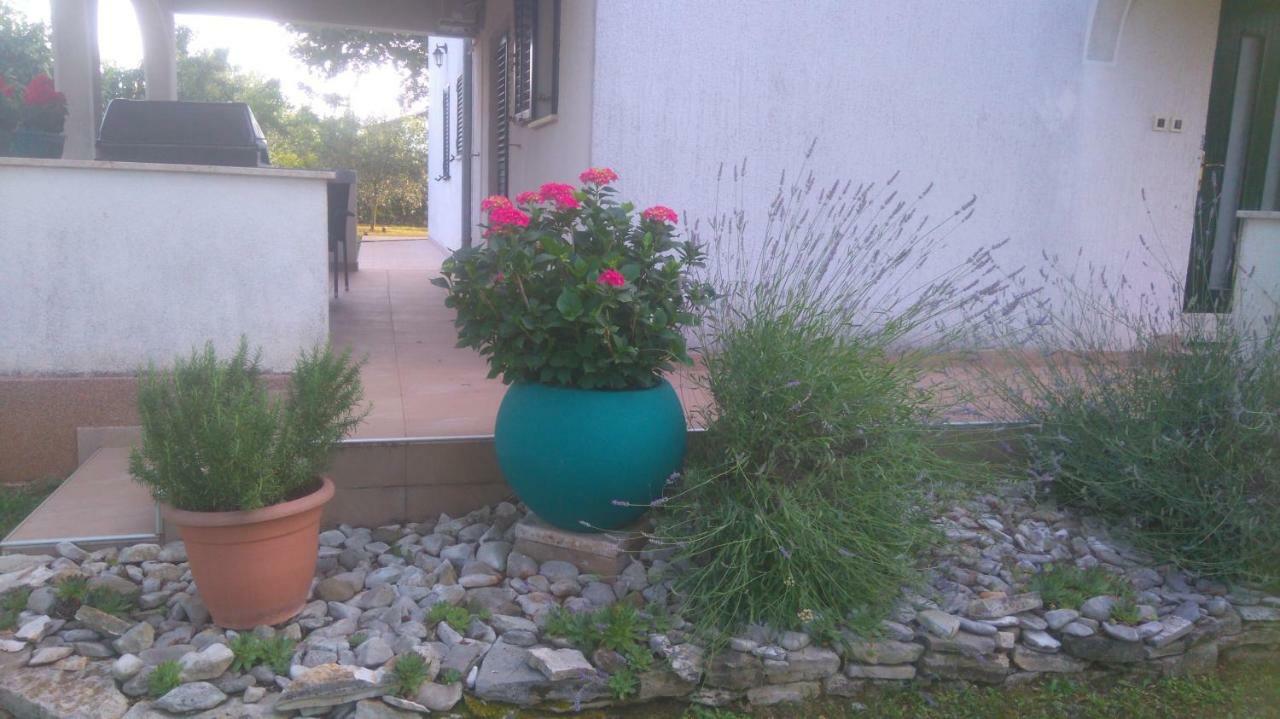 Apartmani Bauk Porec Ngoại thất bức ảnh